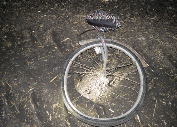 На Полтавщине ВАЗ сбил двоих велосипедистов: девушка погибла на месте На Полтавщине ВАЗ сбил двоих велосипедистов: девушка погибла на месте