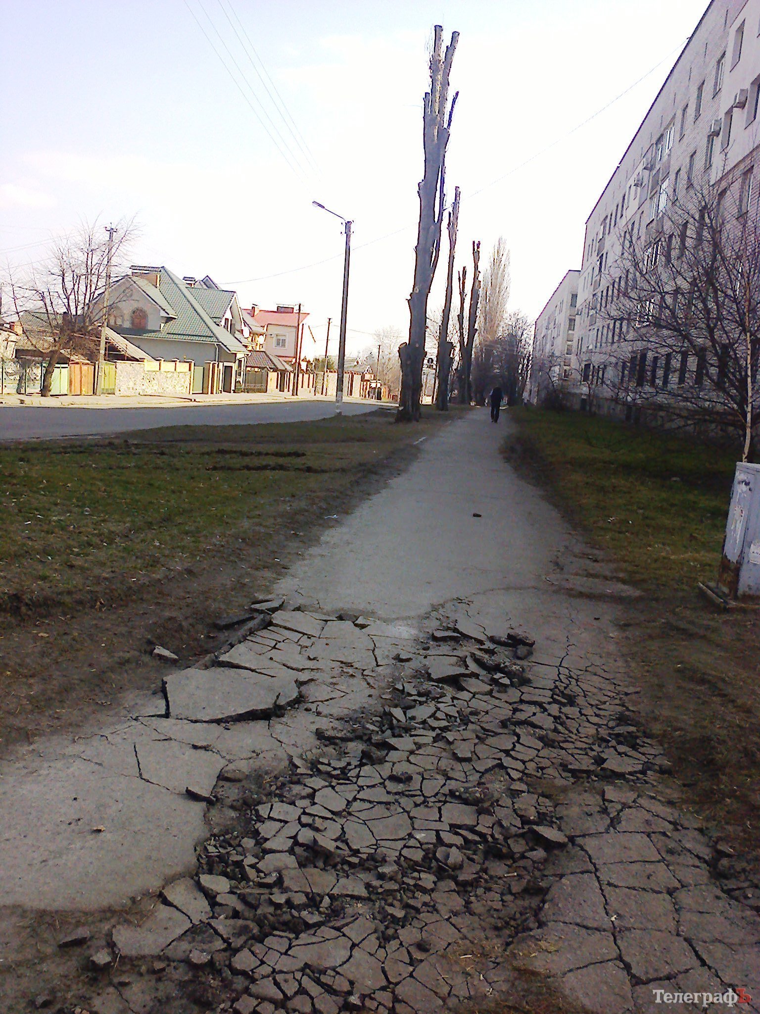 В Кременчуге на Европейской деревья кронируют - щепки летят... асфальтные В Кременчуге на Европейской деревья кронируют - щепки летят... асфальтные