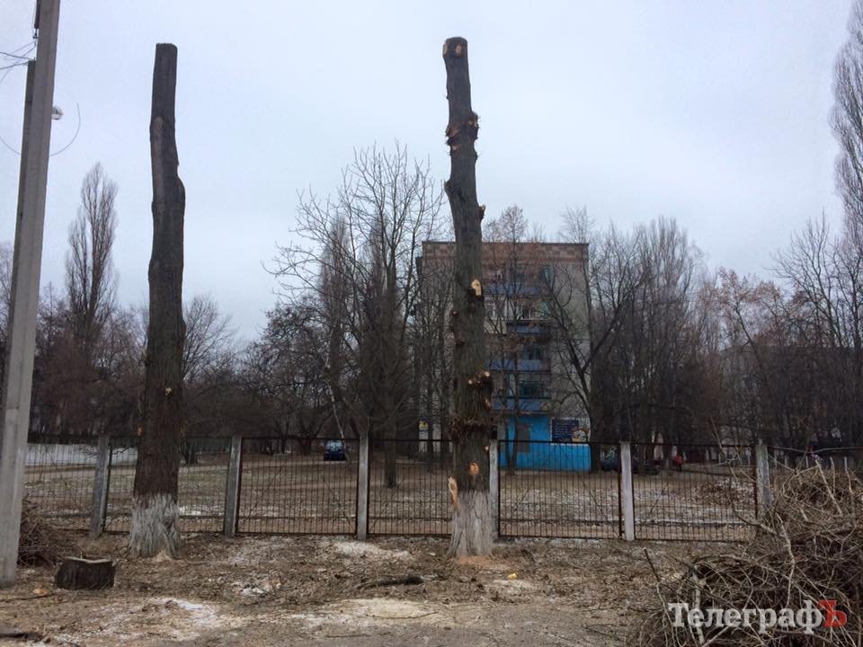 От «это убивает» до «мне тоже надо» - мнения кременчужан о кронировании деревьев От «это убивает» до «мне тоже надо» - мнения кременчужан о кронировании деревьев