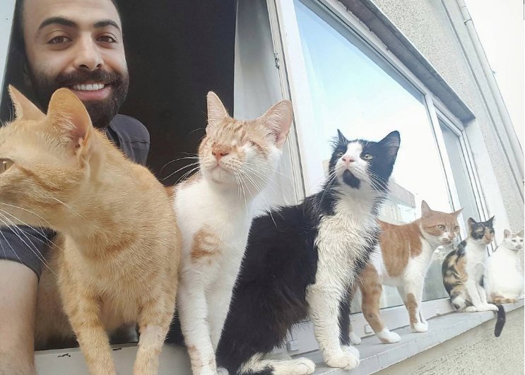 В кінці робочого дня: трохи музики і мр-мр-мр-р-р-р-р-р В кінці робочого дня: трохи музики і мр-мр-мр-р-р-р-р-р