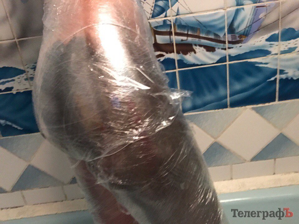 «Эту гадость я жрать не могу!!!».«Кременчугский Телеграф» на диете: День 10-й. «Эту гадость я жрать не могу!!!».«Кременчугский Телеграф» на диете: День 10-й.