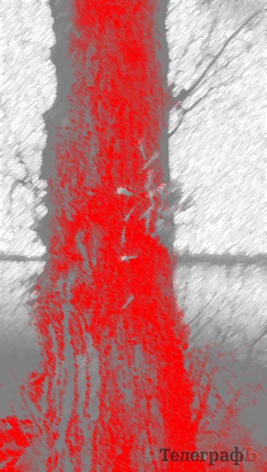 Приколы нашего городка: на обычном дереве на Раковке «распустились» шприцы Приколы нашего городка: на обычном дереве на Раковке «распустились» шприцы