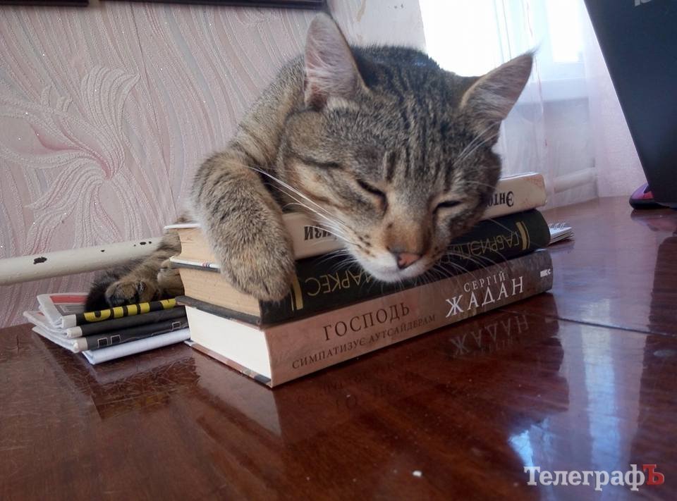 Оповідки, листи з того світу та мелодія кави: що новенького кременчужанам почитати на вхідних Оповідки, листи з того світу та мелодія кави: що новенького кременчужанам почитати на вхідних