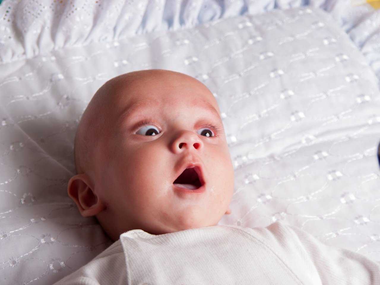 Бюстгальтер-респиратор и переводчик с собачьего Бюстгальтер-респиратор и переводчик с собачьего