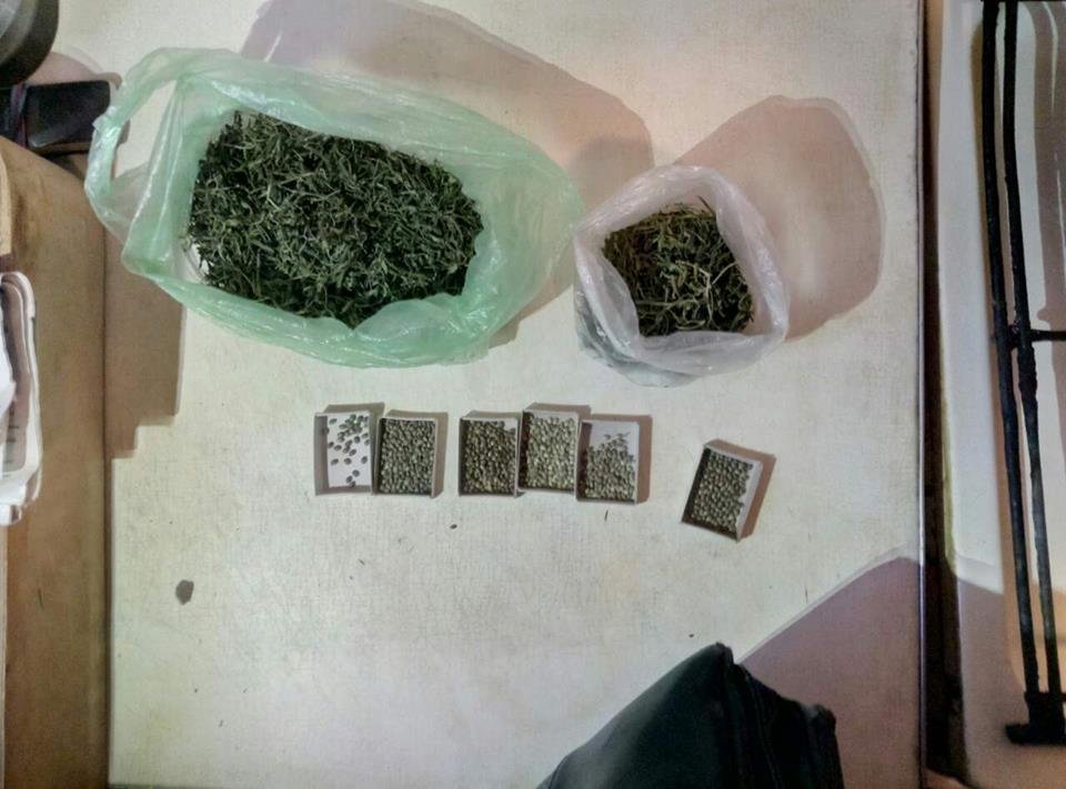 У кременчужанина в квартире нашли полкилограмма расфасованной «травки» У кременчужанина в квартире нашли полкилограмма расфасованной «травки»