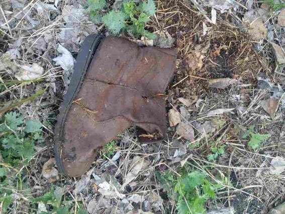 В лесу под Кременчугом нашли останки человека В лесу под Кременчугом нашли останки человека