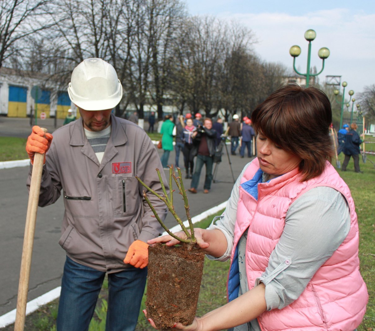 Завод троянд: на КЗТВ відновили добру традицію Завод троянд: на КЗТВ відновили добру традицію