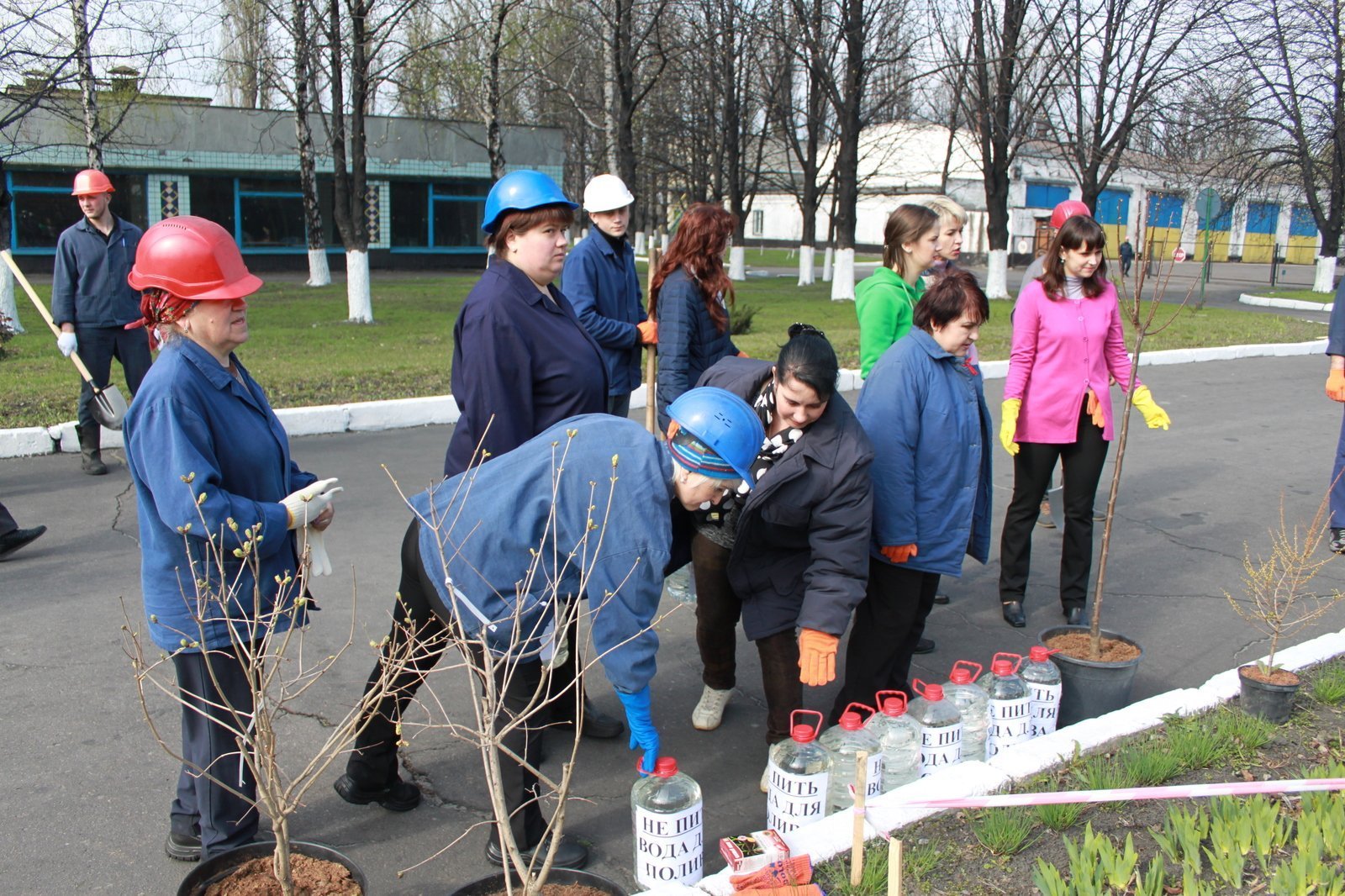 Завод троянд: на КЗТВ відновили добру традицію Завод троянд: на КЗТВ відновили добру традицію