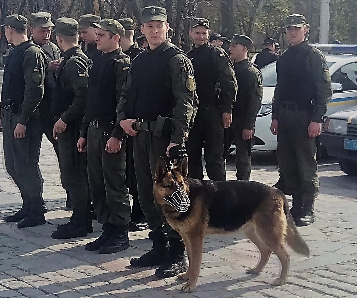 Собаки кременчуцької поліції та Нацгвардії прийдуть на костюмований парад тварин Собаки кременчуцької поліції та Нацгвардії прийдуть на костюмований парад тварин