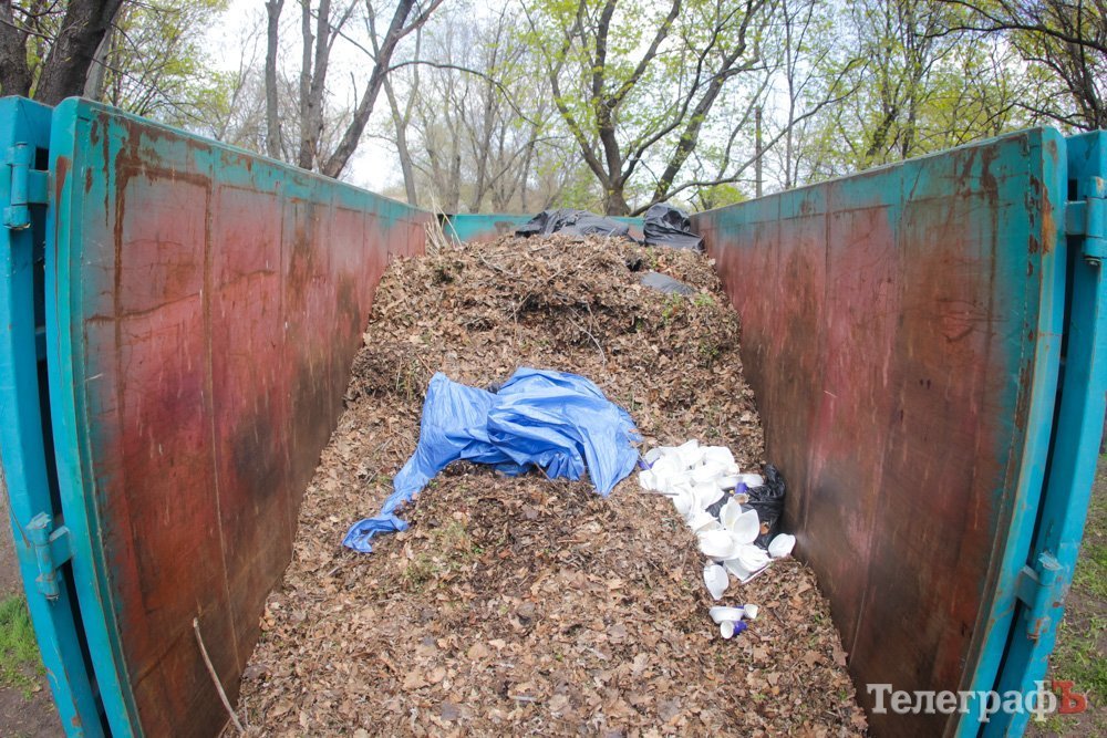 Кременчугская молодежь вычистила 3 городских парка Кременчугская молодежь вычистила 3 городских парка