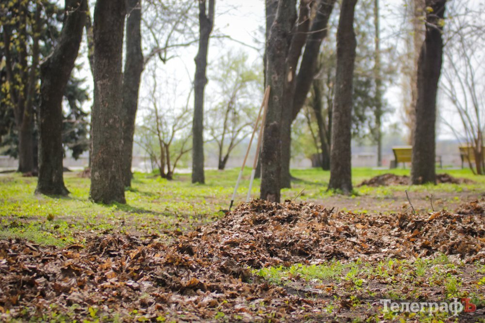 Кременчугская молодежь вычистила 3 городских парка Кременчугская молодежь вычистила 3 городских парка