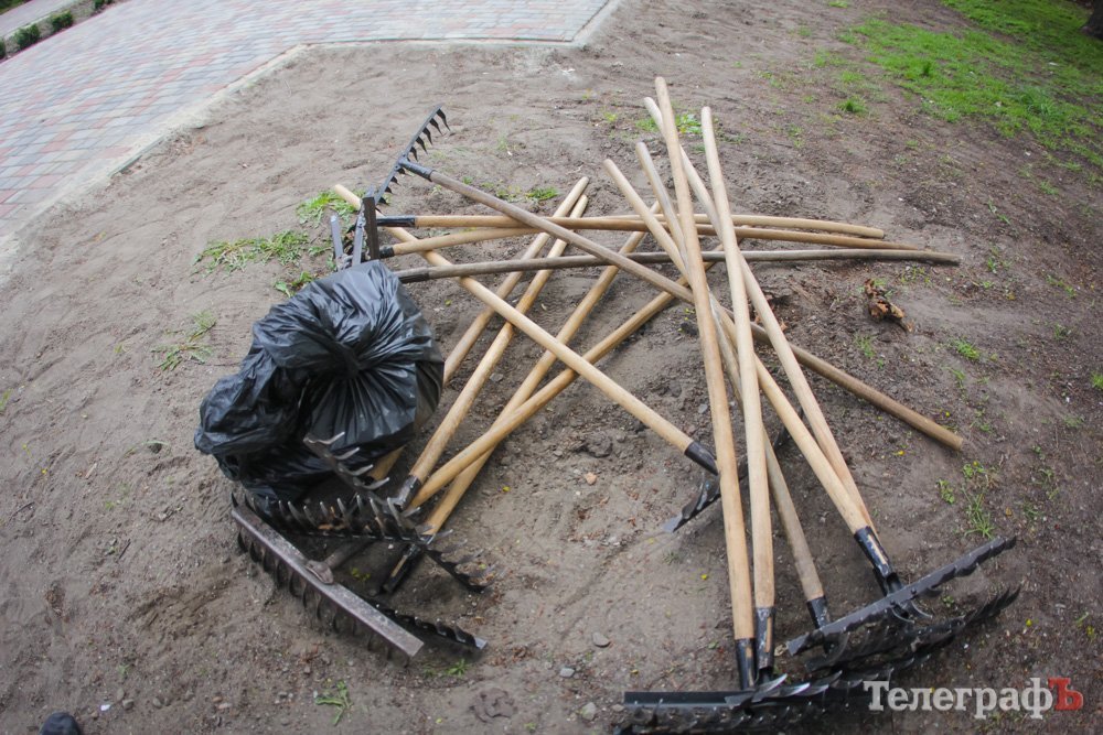 Кременчугская молодежь вычистила 3 городских парка Кременчугская молодежь вычистила 3 городских парка