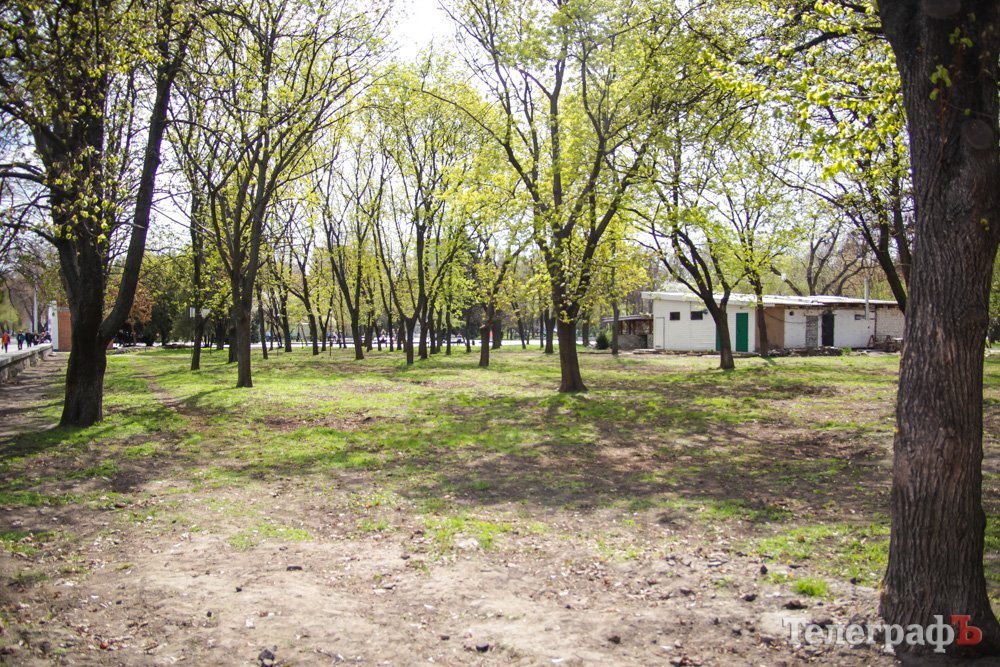 Кременчугская молодежь вычистила 3 городских парка Кременчугская молодежь вычистила 3 городских парка