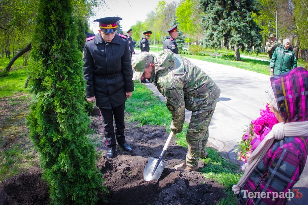 43 туї пам'яті загиблих в АТО висадили у Кременчуці 43 туї пам'яті загиблих в АТО висадили у Кременчуці