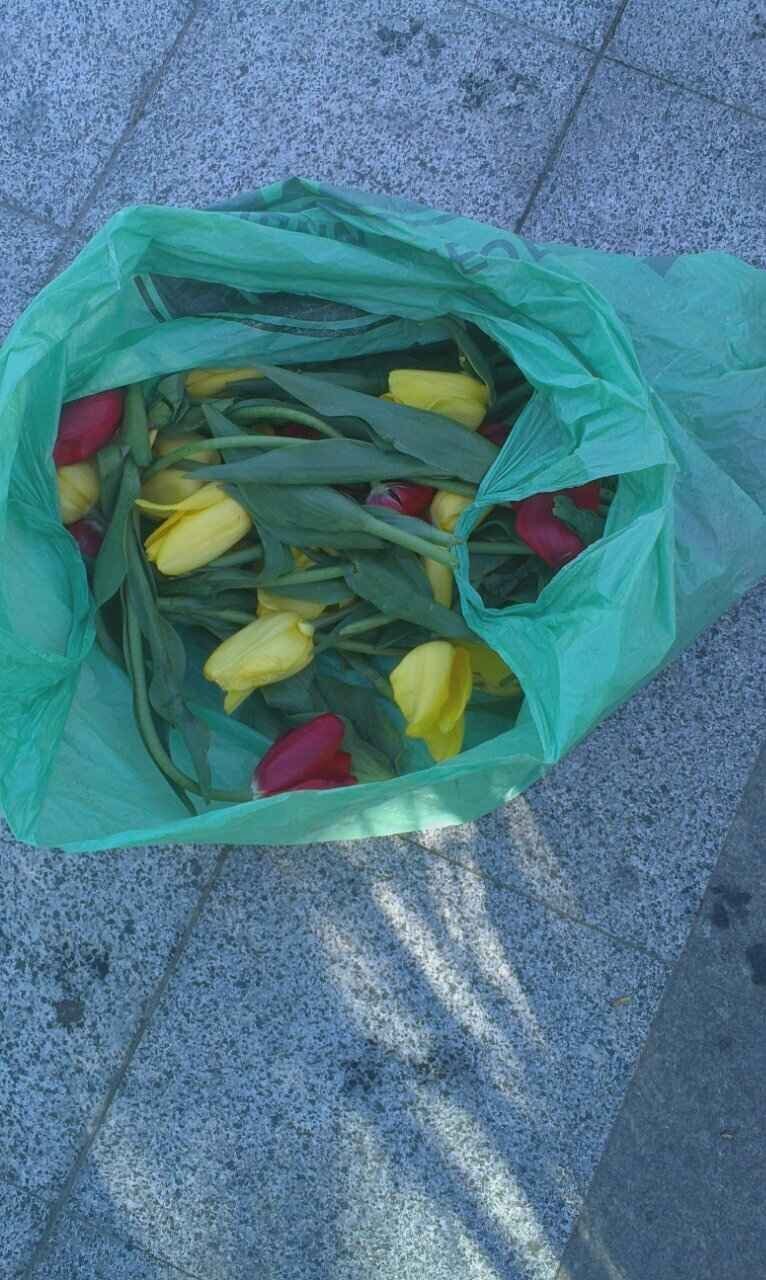 Подростки подпортили клумбы в сквере им.О. Бабаева Подростки подпортили клумбы в сквере им.О. Бабаева