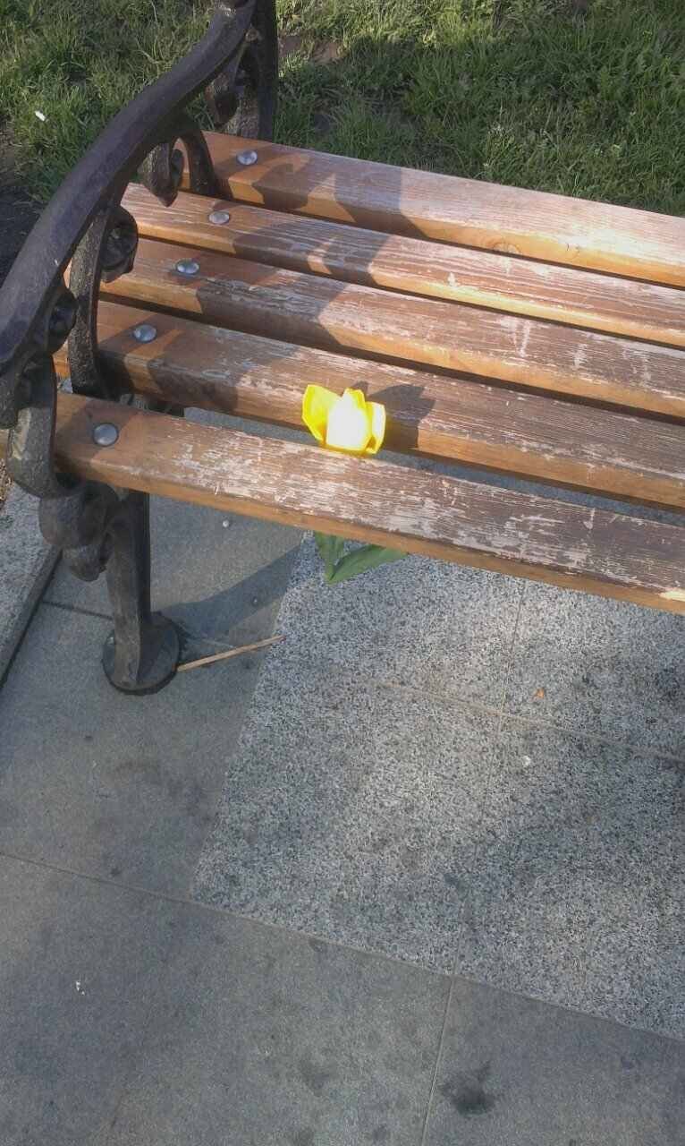 Подростки подпортили клумбы в сквере им.О. Бабаева Подростки подпортили клумбы в сквере им.О. Бабаева