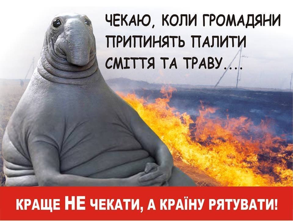 Дууууже гаряче: кременчужан попереджають про можливі пожежі Дууууже гаряче: кременчужан попереджають про можливі пожежі