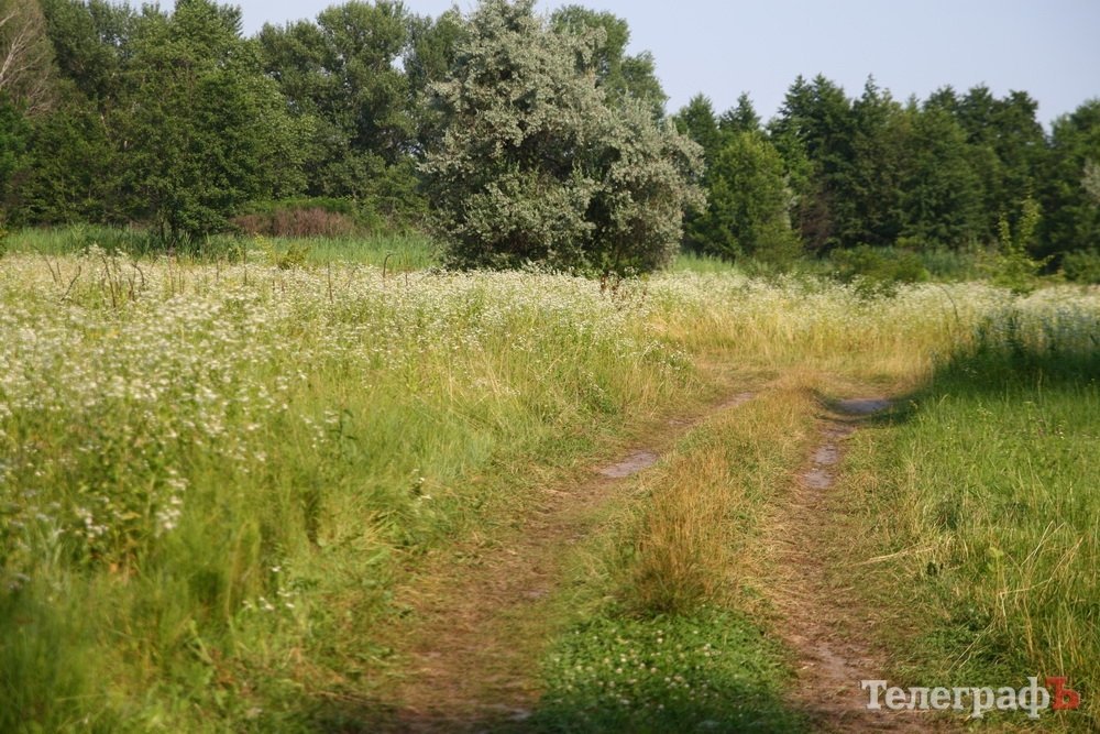 ТОП места для шашлыков в Кременчуге ТОП места для шашлыков в Кременчуге