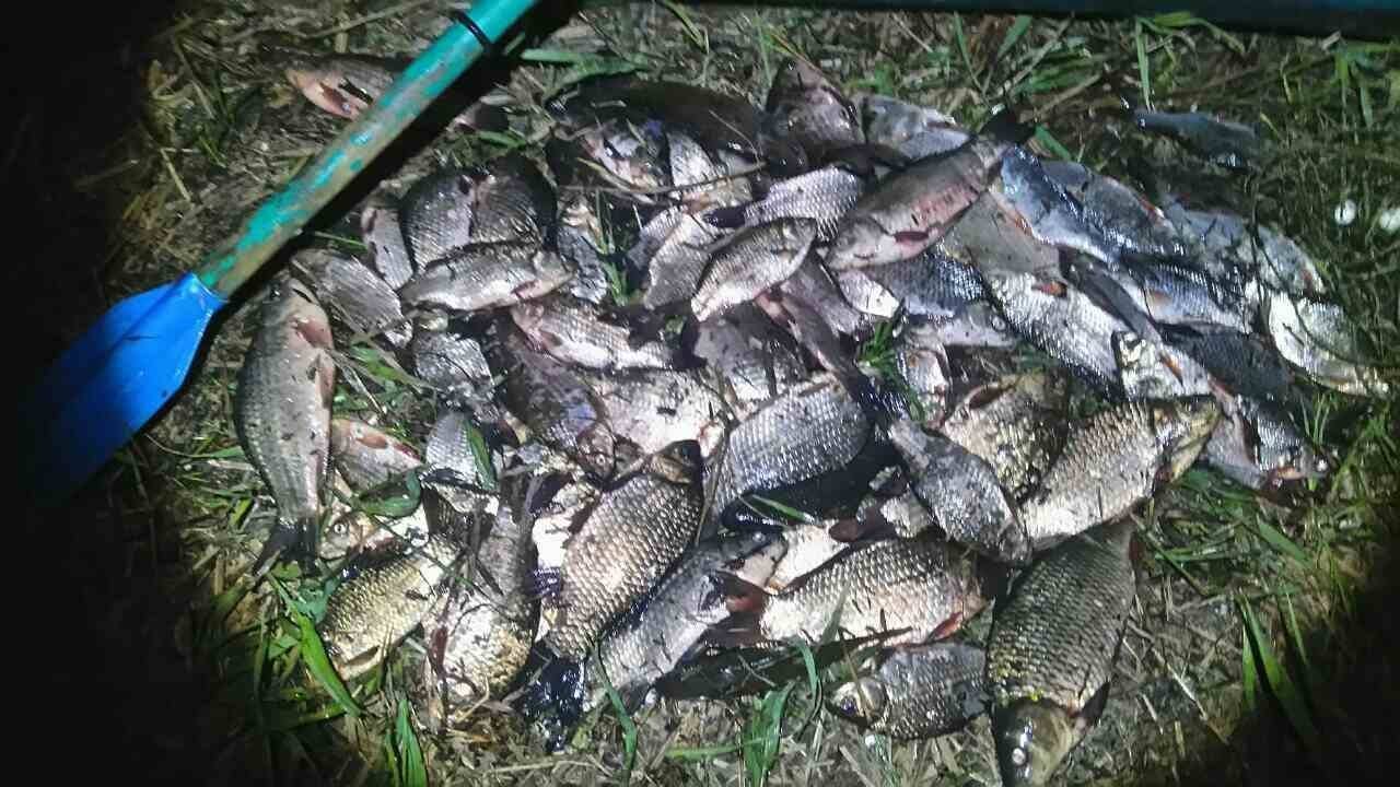 На Кременчугском водохранилище поймали двоих браконьеров На Кременчугском водохранилище поймали двоих браконьеров