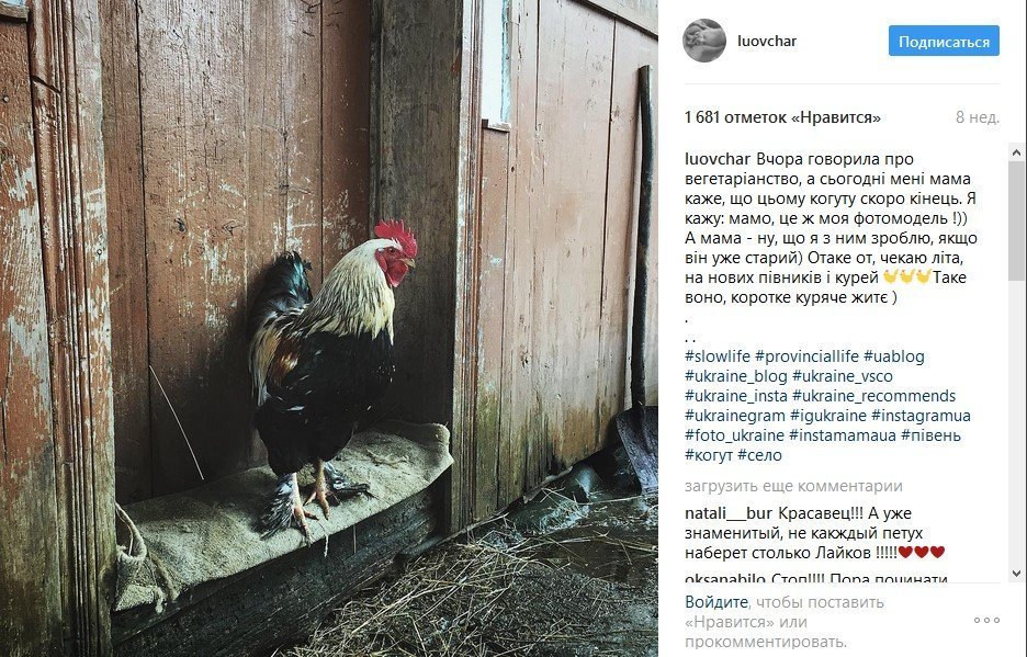 В кінці робочого дня: теплі фото з Іnstagram українки, що сколихнули соцмережі В кінці робочого дня: теплі фото з Іnstagram українки, що сколихнули соцмережі