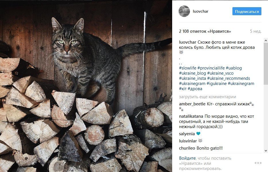 В кінці робочого дня: теплі фото з Іnstagram українки, що сколихнули соцмережі В кінці робочого дня: теплі фото з Іnstagram українки, що сколихнули соцмережі