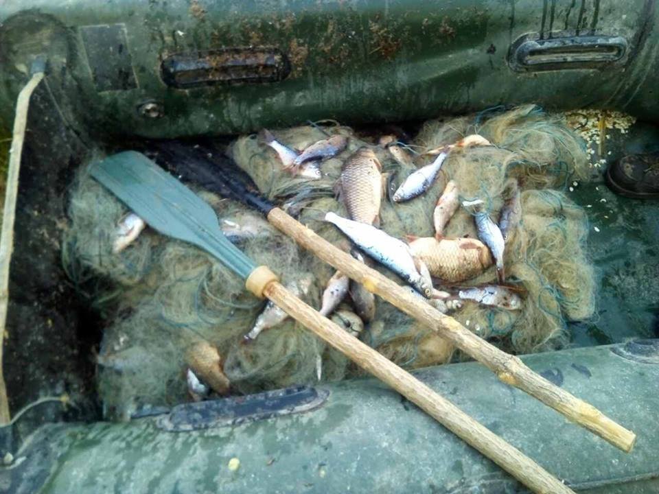 Браконьєр нарибачив майже на 10 тисяч гривень Браконьєр нарибачив майже на 10 тисяч гривень