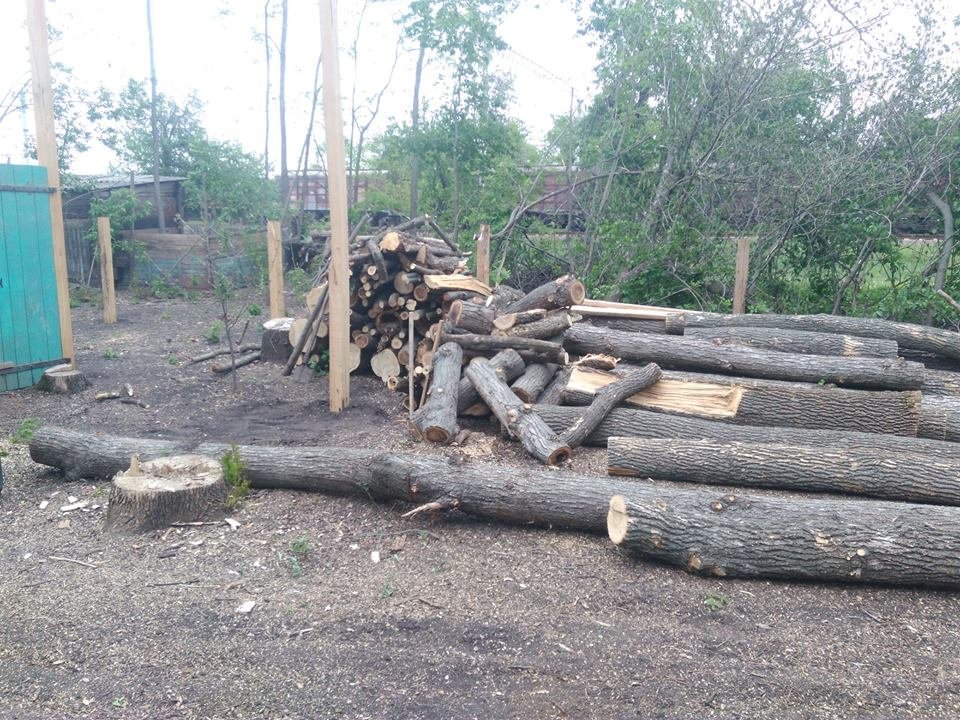 Під Кременчуком правоохоронці затримали «бобра» Під Кременчуком правоохоронці затримали «бобра»