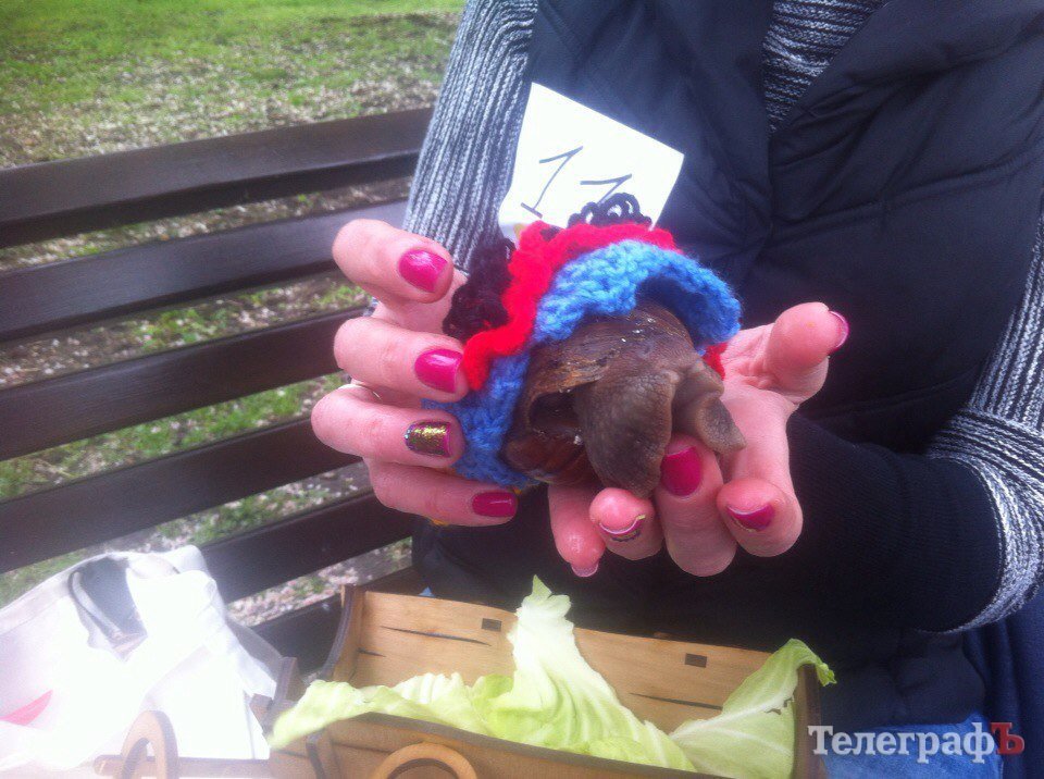 Костюмированный парад животных в Кременчуге Костюмированный парад животных в Кременчуге