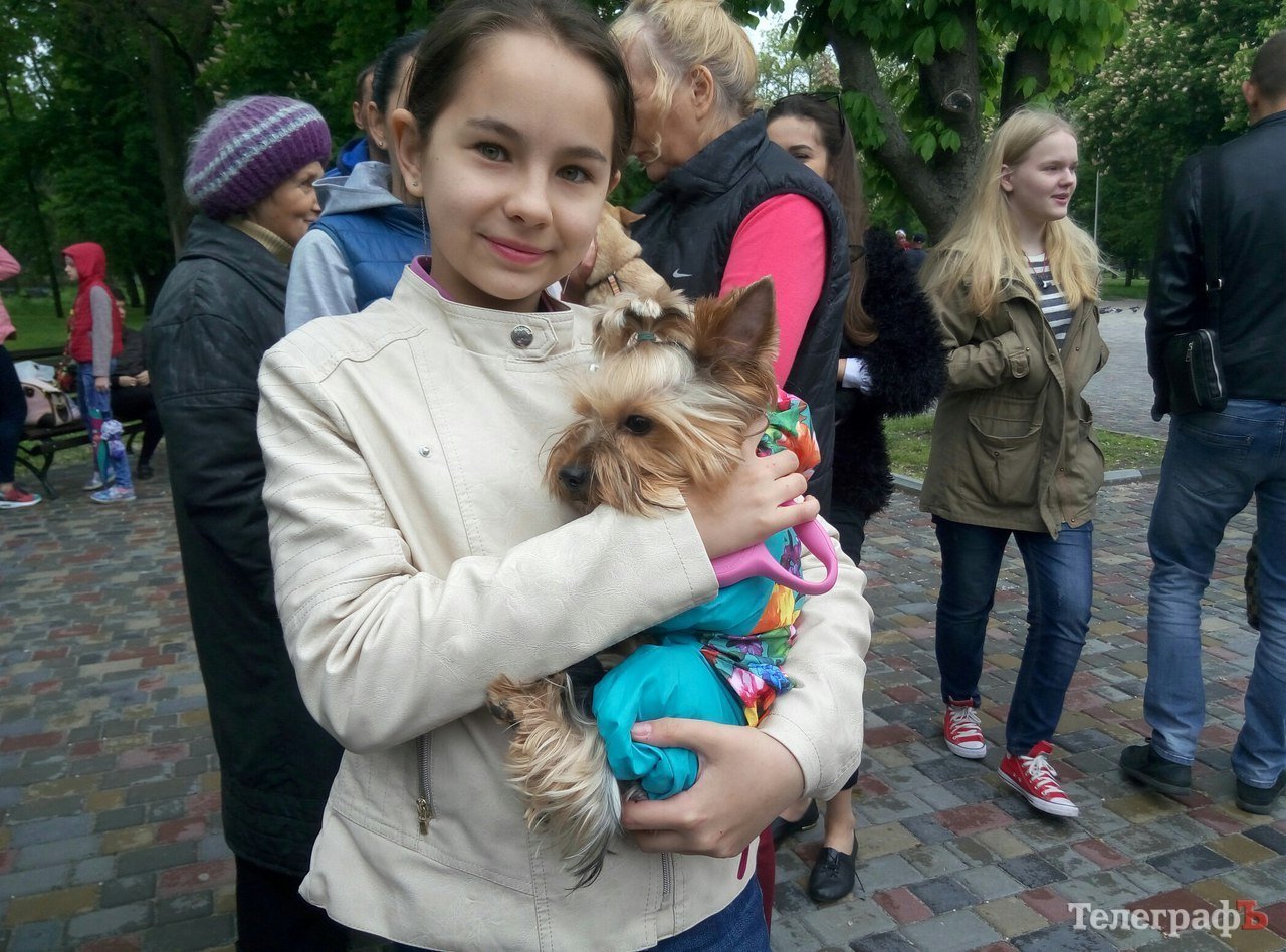 Костюмированный парад животных в Кременчуге Костюмированный парад животных в Кременчуге