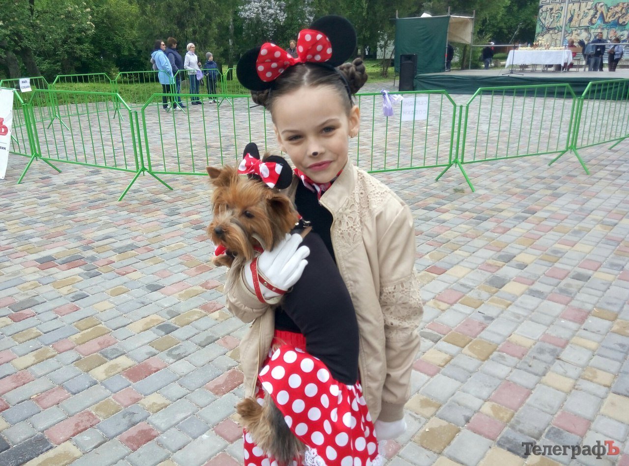 Костюмированный парад животных в Кременчуге Костюмированный парад животных в Кременчуге