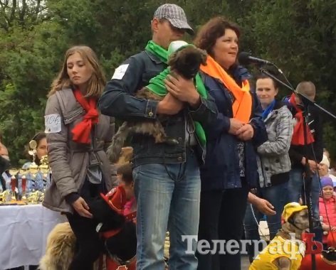 Прямо на параде собаку из приюта Креветку забрала новая хозяйка Прямо на параде собаку из приюта Креветку забрала новая хозяйка