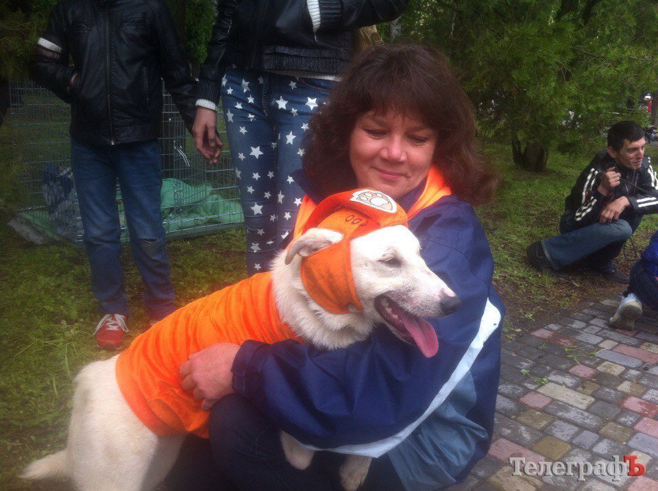 Прямо на параде собаку из приюта Креветку забрала новая хозяйка Прямо на параде собаку из приюта Креветку забрала новая хозяйка