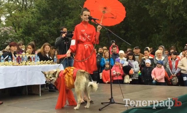 «Кубок Хатико» достался псу Умке из кременчугского приюта «Кубок Хатико» достался псу Умке из кременчугского приюта