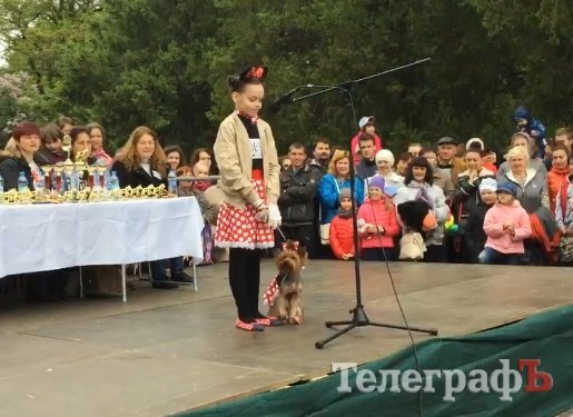 «Кубок Хатико» достался псу Умке из кременчугского приюта «Кубок Хатико» достался псу Умке из кременчугского приюта