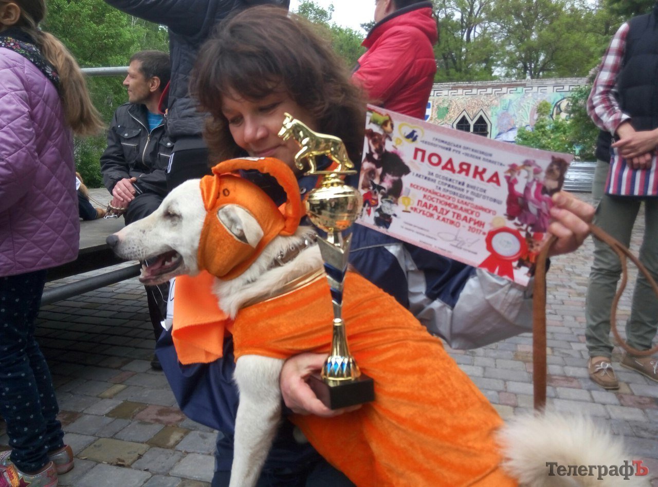 Костюмированный парад животных в Кременчуге Костюмированный парад животных в Кременчуге