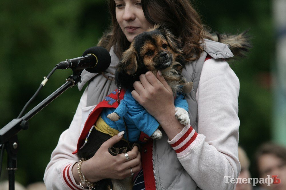 Парад животных в Кременчуге: голосование за участников Парад животных в Кременчуге: голосование за участников