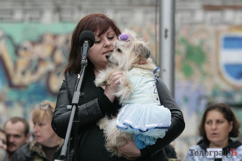 Парад животных в Кременчуге: голосование за участников Парад животных в Кременчуге: голосование за участников