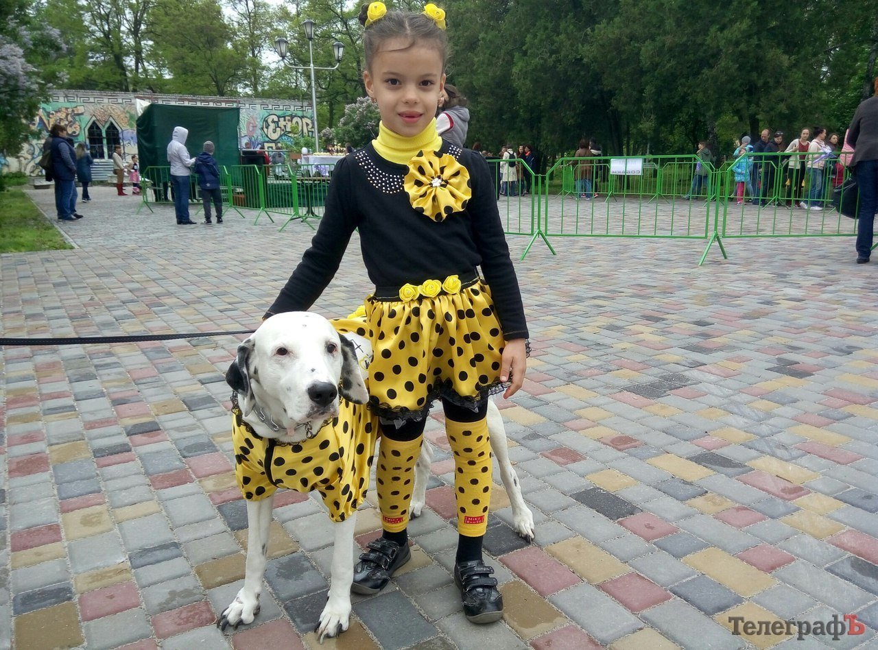 Парад животных в Кременчуге: голосование за участников Парад животных в Кременчуге: голосование за участников