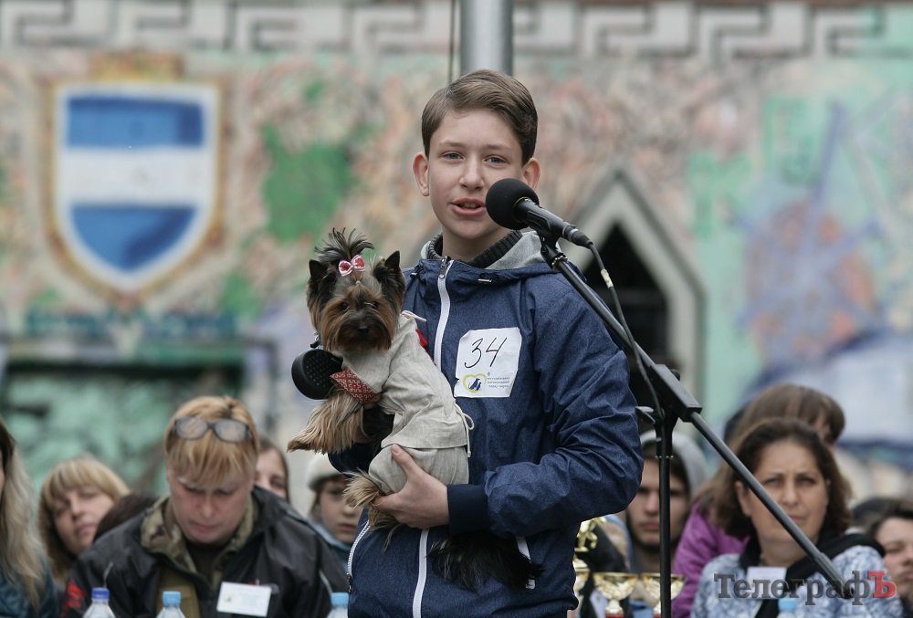 Парад животных в Кременчуге: голосование за участников Парад животных в Кременчуге: голосование за участников