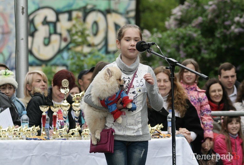 Парад животных в Кременчуге: голосование за участников Парад животных в Кременчуге: голосование за участников