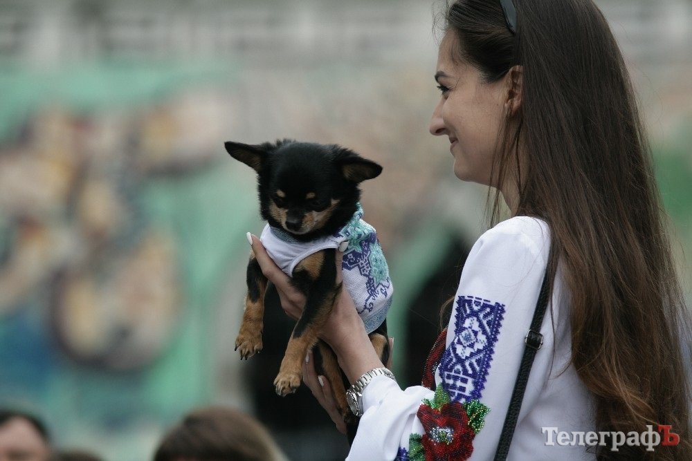 Парад животных в Кременчуге: голосование за участников Парад животных в Кременчуге: голосование за участников