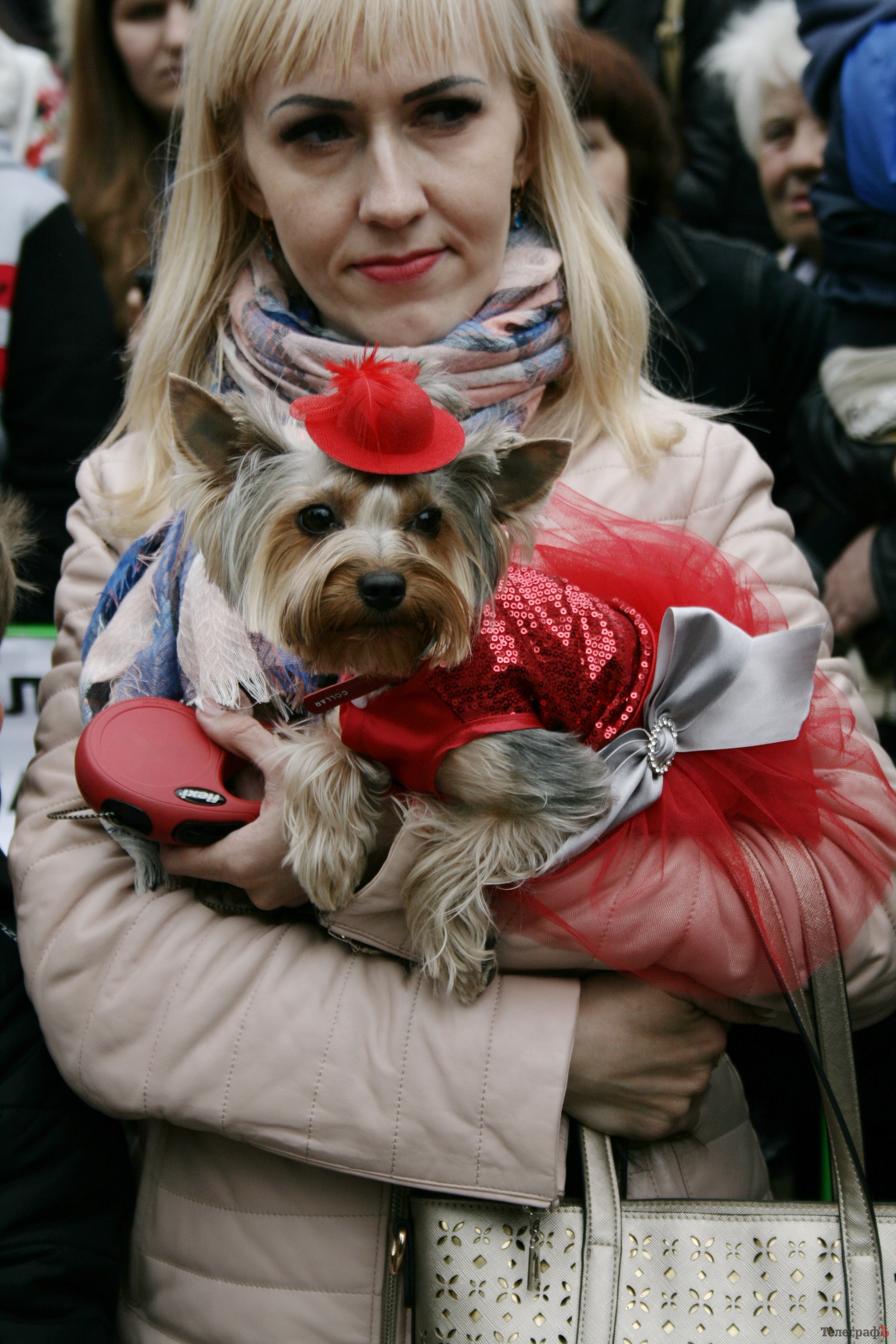 Парад животных в Кременчуге: голосование за участников Парад животных в Кременчуге: голосование за участников
