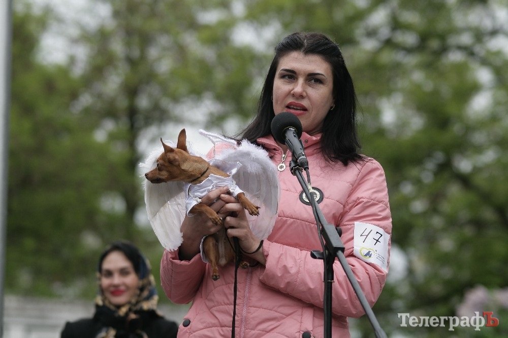Парад животных в Кременчуге: голосование за участников Парад животных в Кременчуге: голосование за участников