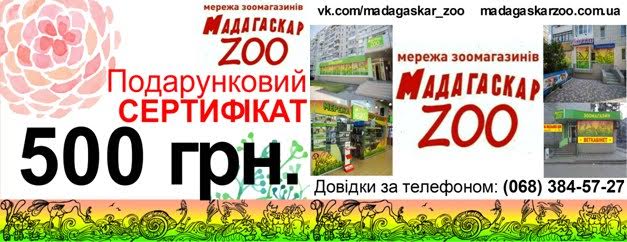Лучшая участница парада животных по версии читателей «Телеграфа» передала свой подарок приюту Лучшая участница парада животных по версии читателей «Телеграфа» передала свой подарок приюту