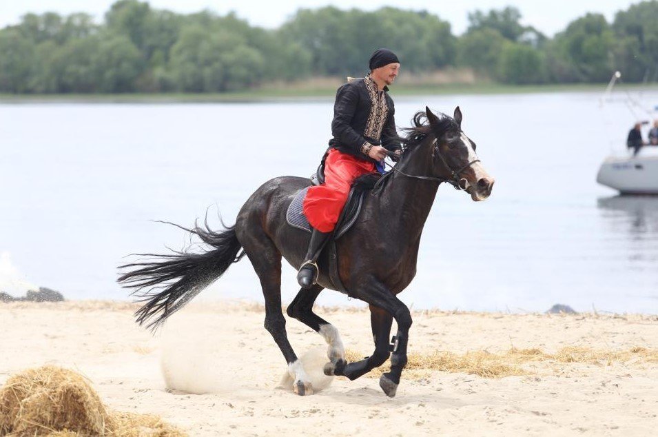 «Hej, hej, hej sokoly»: у Кременчуці 80-тисячне польсько-козацьке військо розбило 200-тисячну турецьку армію «Hej, hej, hej sokoly»: у Кременчуці 80-тисячне польсько-козацьке військо розбило 200-тисячну турецьку армію