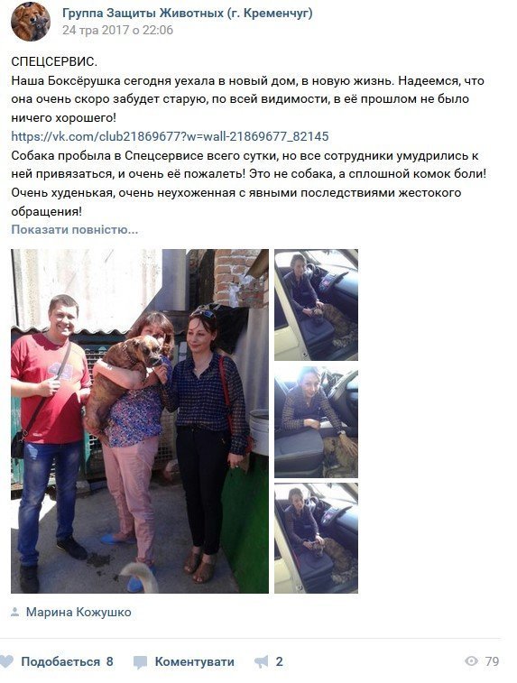 Боксеру, покинутому під «Спецсервісом», знайшли люблячу господарку Боксеру, покинутому під «Спецсервісом», знайшли люблячу господарку