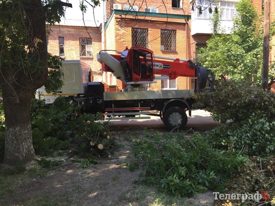 Фотофакт: в Кременчуге аллергики придумали новый метод борьбы с тополиным пухом Фотофакт: в Кременчуге аллергики придумали новый метод борьбы с тополиным пухом