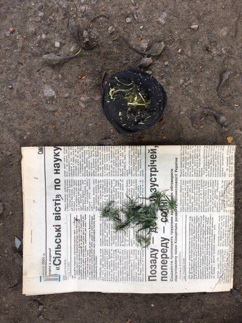 Под Кременчугом у мужчины изъяли наркотики и самодельную взрывчатку Под Кременчугом у мужчины изъяли наркотики и самодельную взрывчатку