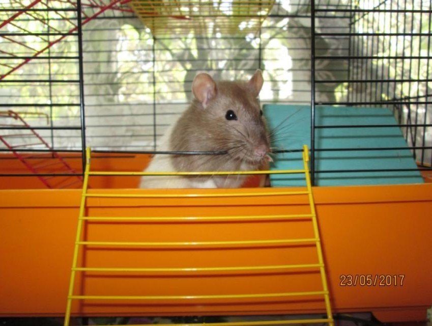 «Моя Україна» у об'єктиві юних кременчужанок «Моя Україна» у об'єктиві юних кременчужанок