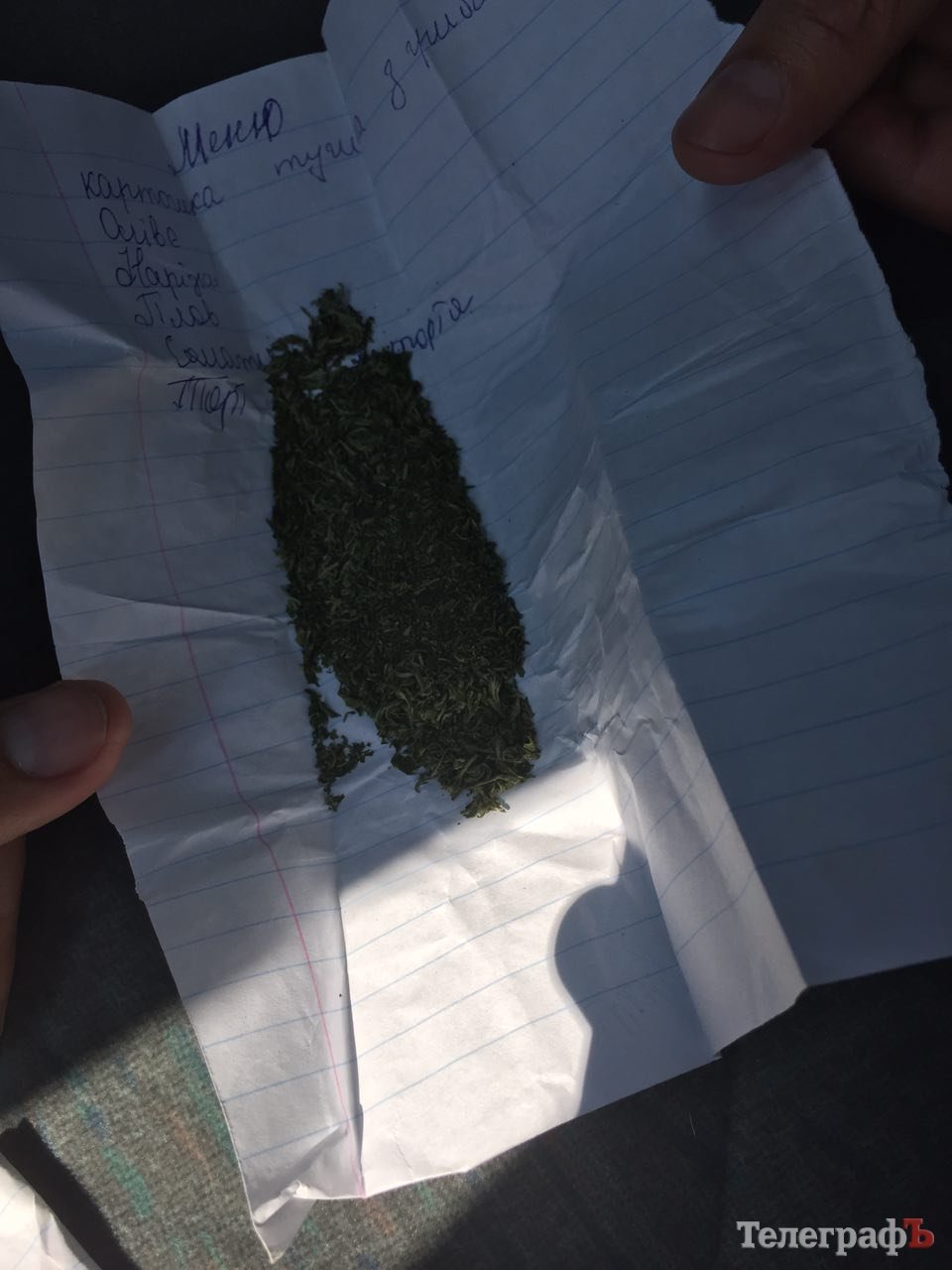 Под Кременчугом задержали 19-летнюю торговку наркотиками Под Кременчугом задержали 19-летнюю торговку наркотиками